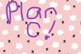 Plan C Page